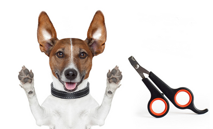 Pet Nail Clipper