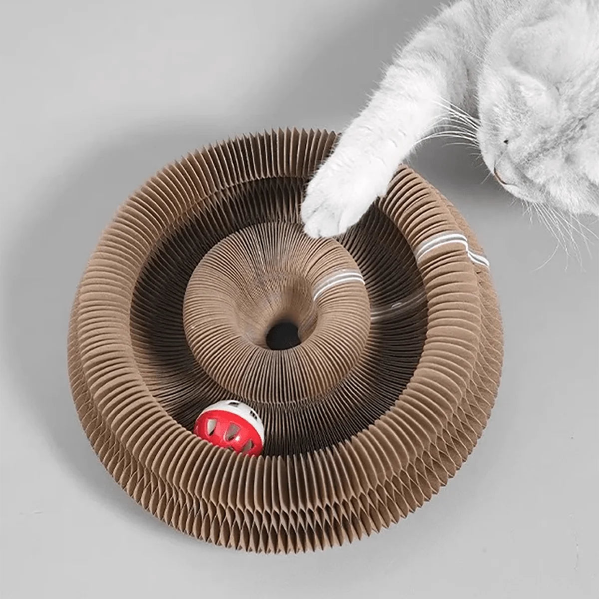 Cat pawing at the bell ball inside the cardboard scratcher ring