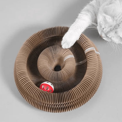 Cat pawing at the bell ball inside the cardboard scratcher ring