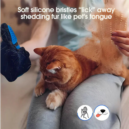 Grooming a ginger cat with the blue silicone deshedding glove