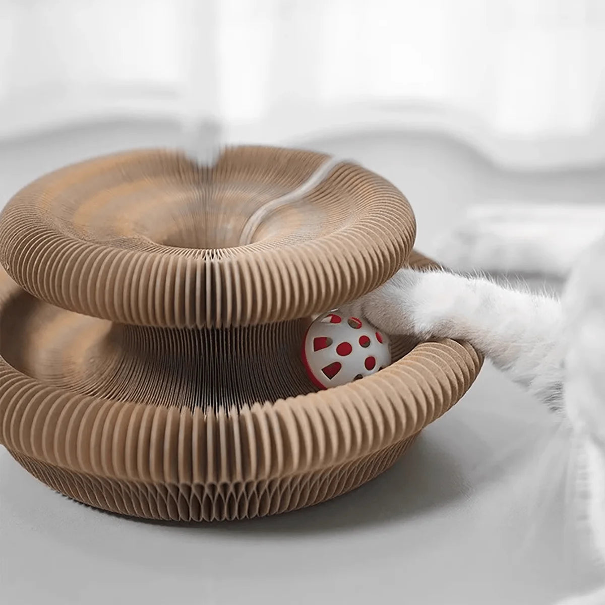 Cat reaching for the bell ball inside the scratcher