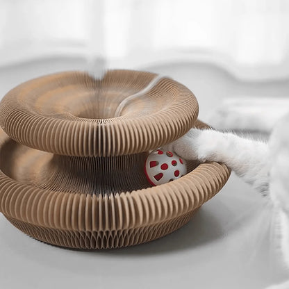 Cat reaching for the bell ball inside the scratcher