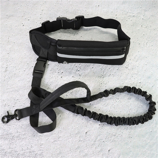 Hands-free dog leash with waist belt