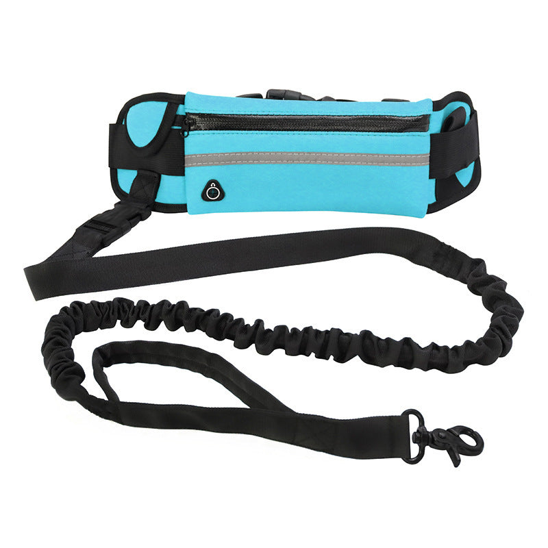 Hands-free dog leash with waist belt