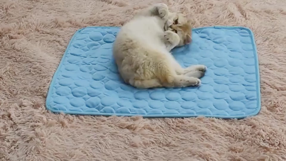 A cat lying on the cool-touch pet mat