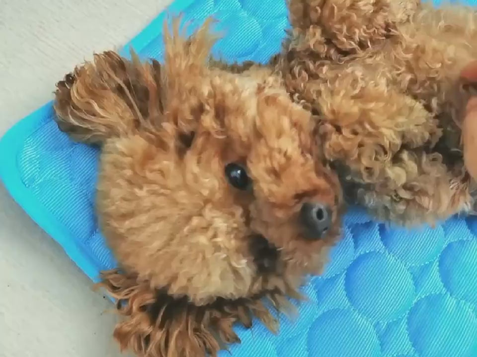 A poodle lying on the cool-touch pet mat